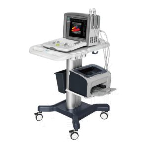 Ultrasound Color Doppler