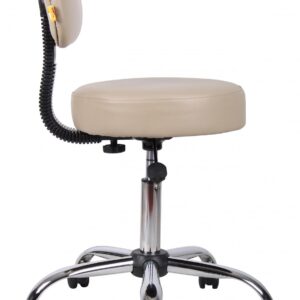 Medical Stool with back